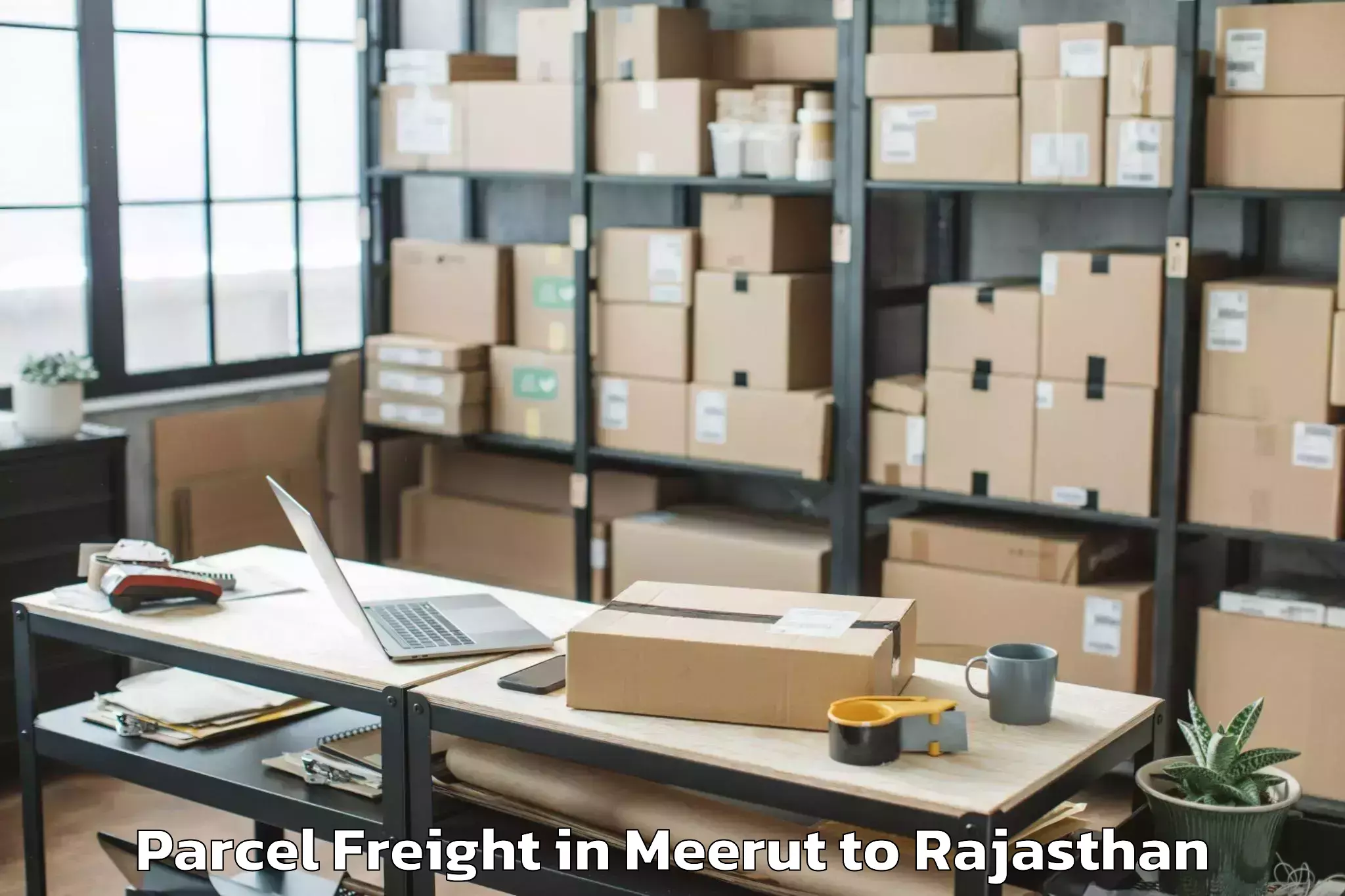 Discover Meerut to Chhoti Sadri Parcel Freight